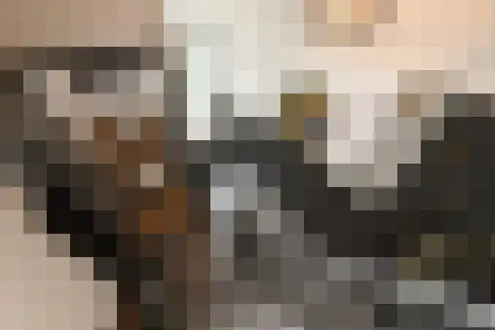 Doktersdreefje 21 Steenbergen thumbnail 7