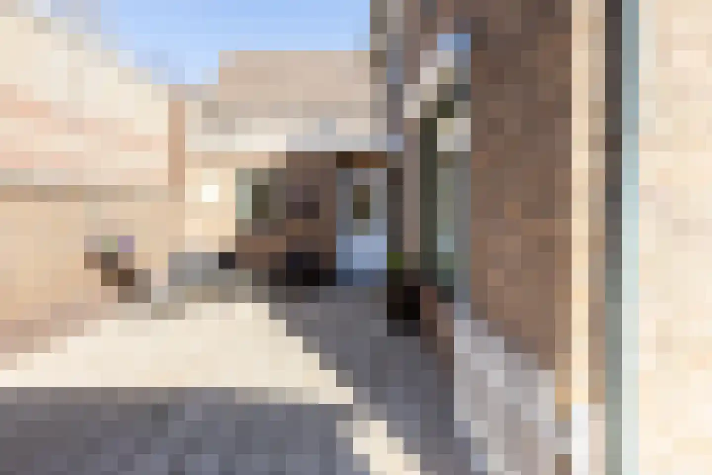 Doktersstraat 1 Ossendrecht thumbnail 42