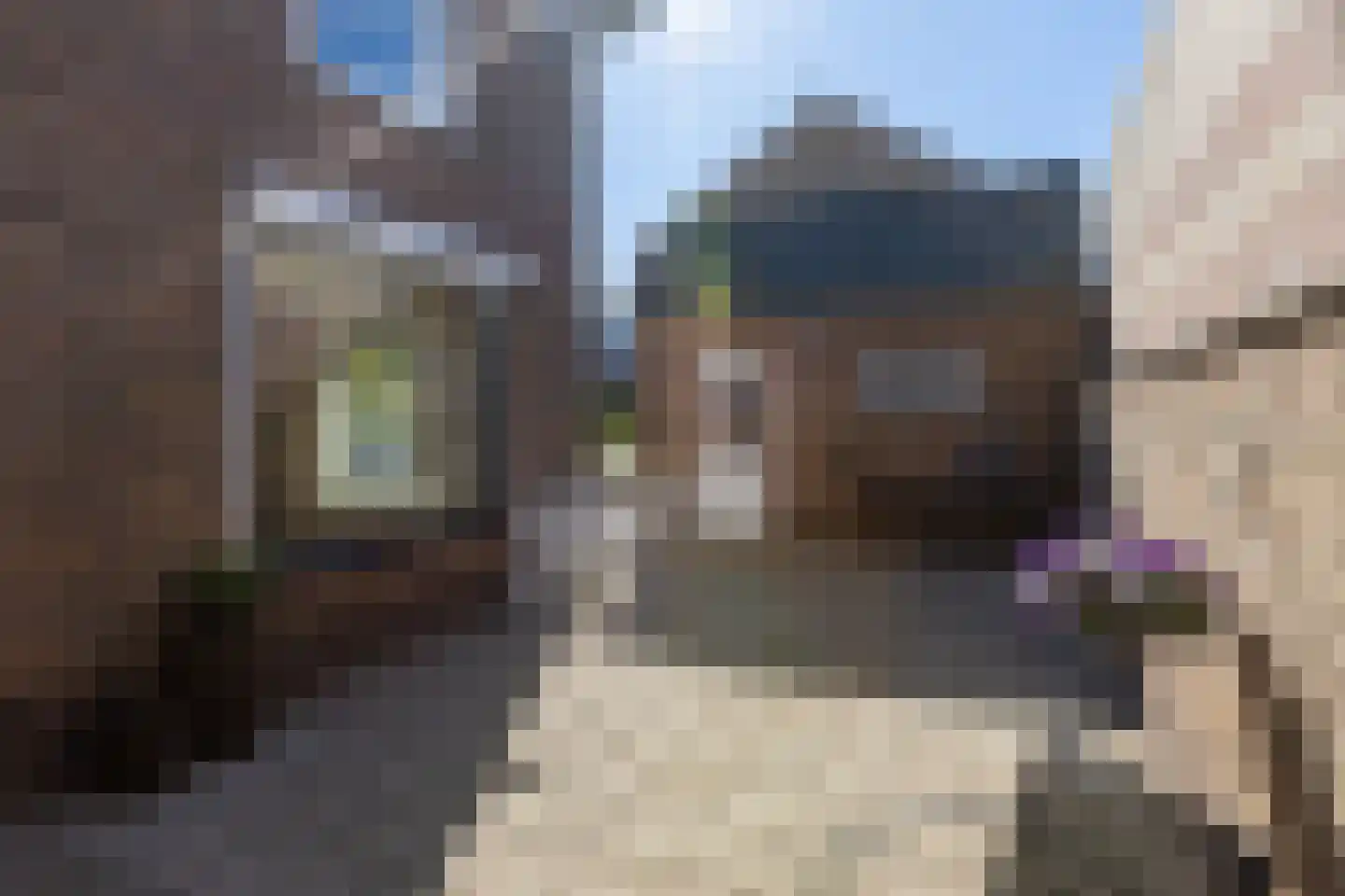 Doktersstraat 1 Ossendrecht thumbnail 43