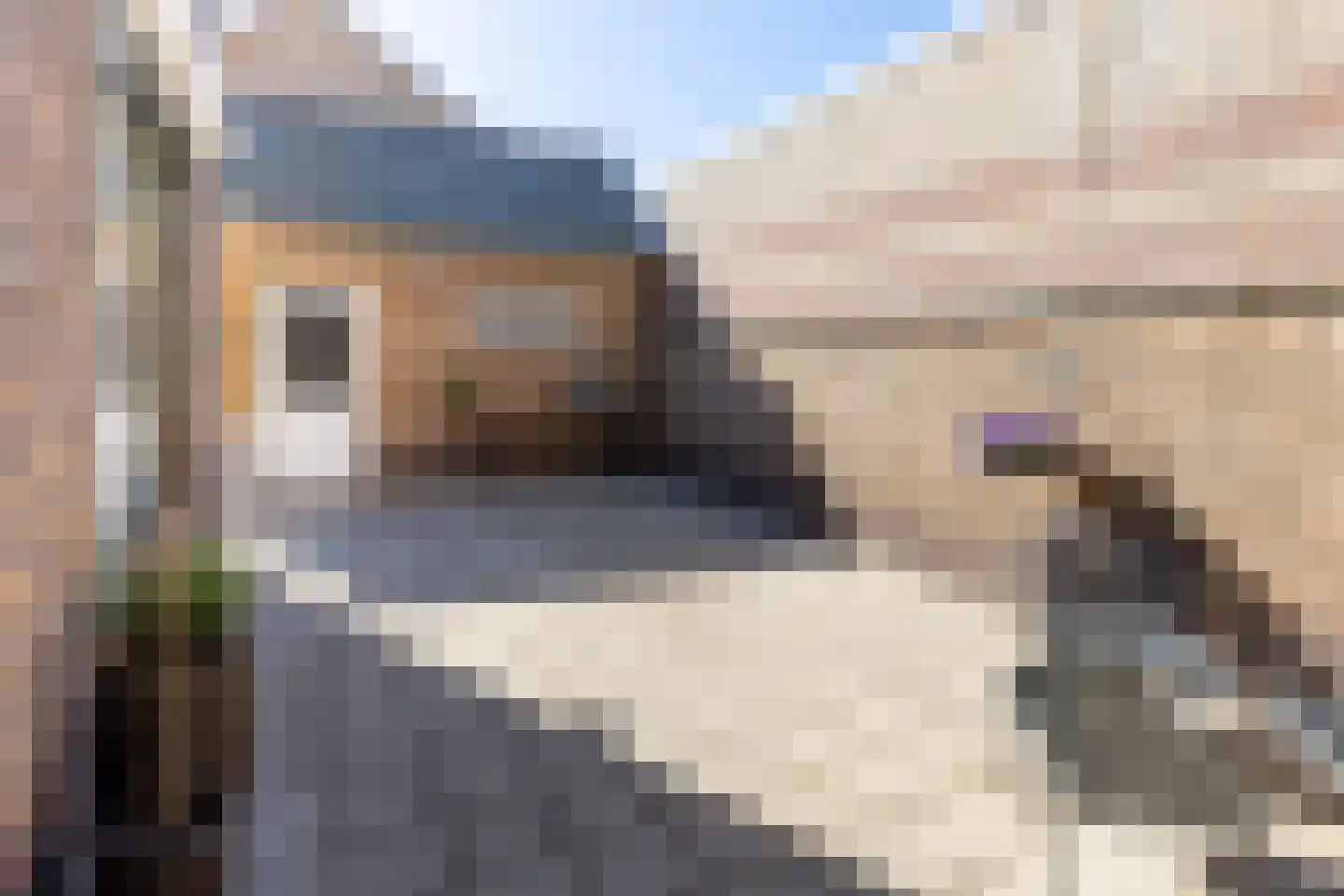 Doktersstraat 1 Ossendrecht thumbnail 44