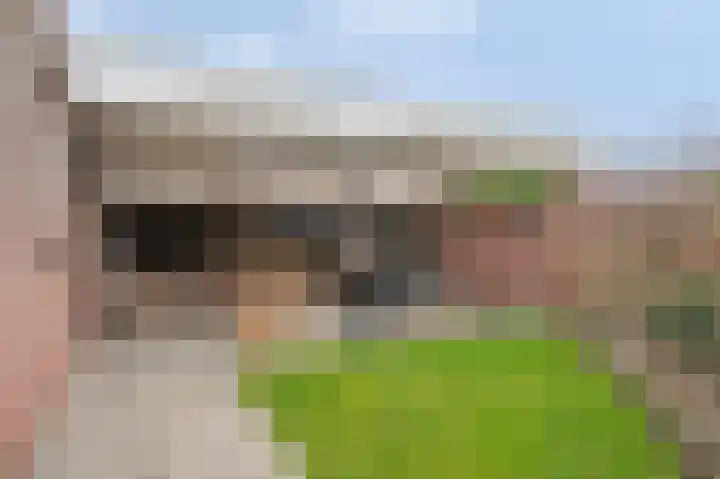 Doktersweg 9 Echt thumbnail 20