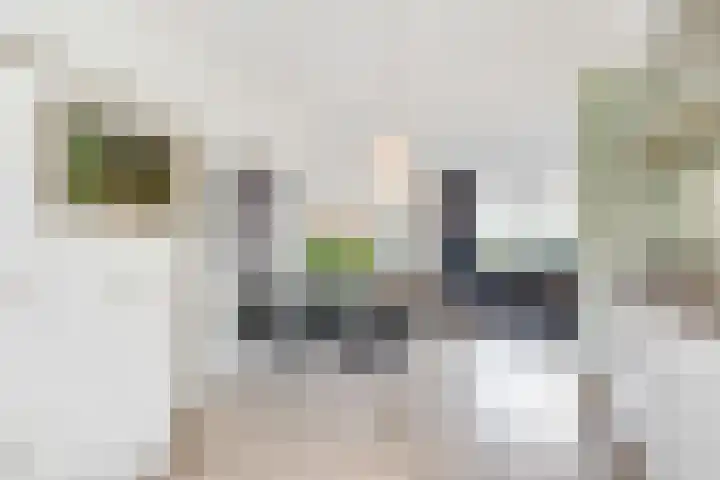 Dolderseweg 145 Den Dolder thumbnail 15