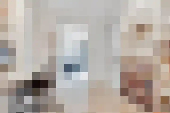 Dolderseweg 145 Den Dolder thumbnail 18