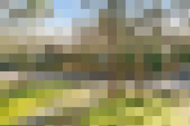 Dolderseweg 145 Den Dolder thumbnail 27