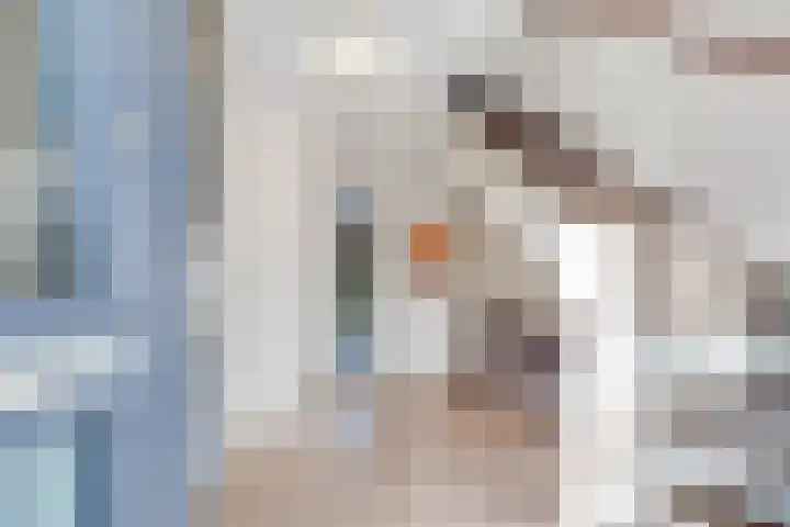 Dolderseweg 145 Den Dolder thumbnail 4