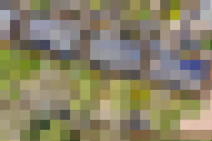 Dolderseweg 145 Den Dolder thumbnail 41