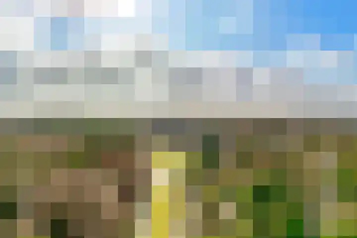 Dolderseweg 145 Den Dolder thumbnail 43