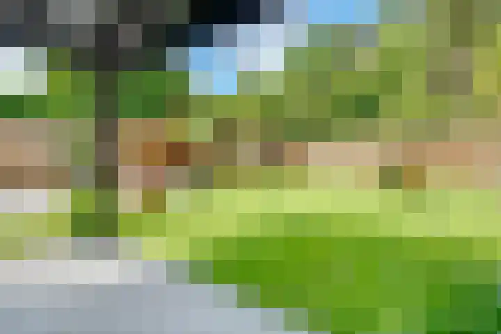 Dolderseweg 171 Den Dolder thumbnail 39