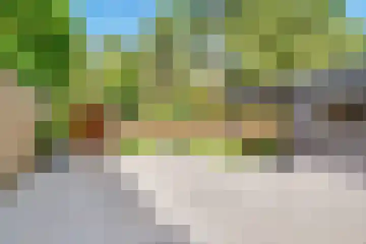 Dolderseweg 171 Den Dolder thumbnail 42