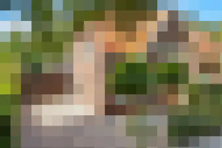 Dolderseweg 171 Den Dolder thumbnail 64