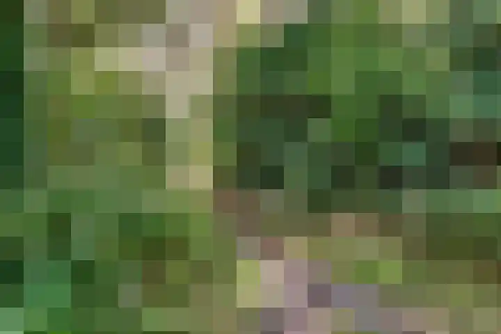 Dolderseweg 171 Den Dolder thumbnail 65