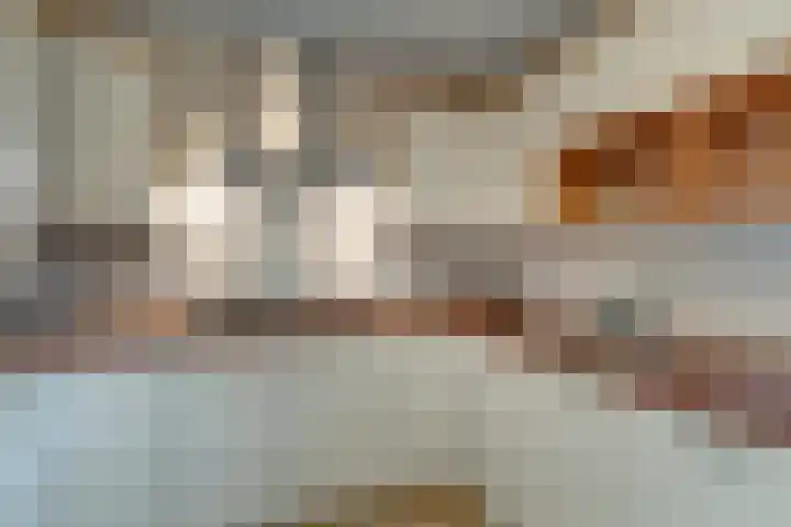 Dolderseweg 93 C Den Dolder thumbnail 18