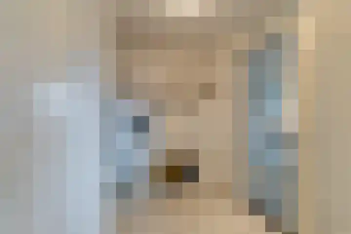 Dolderseweg 93 C Den Dolder thumbnail 20