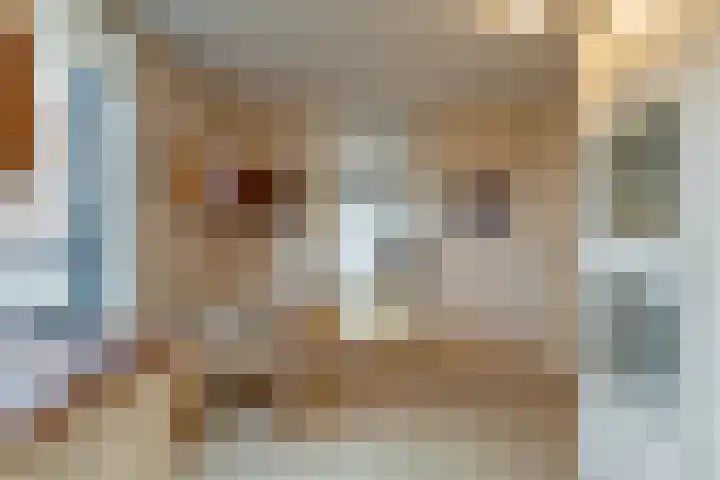 Dolderseweg 93 C Den Dolder thumbnail 21