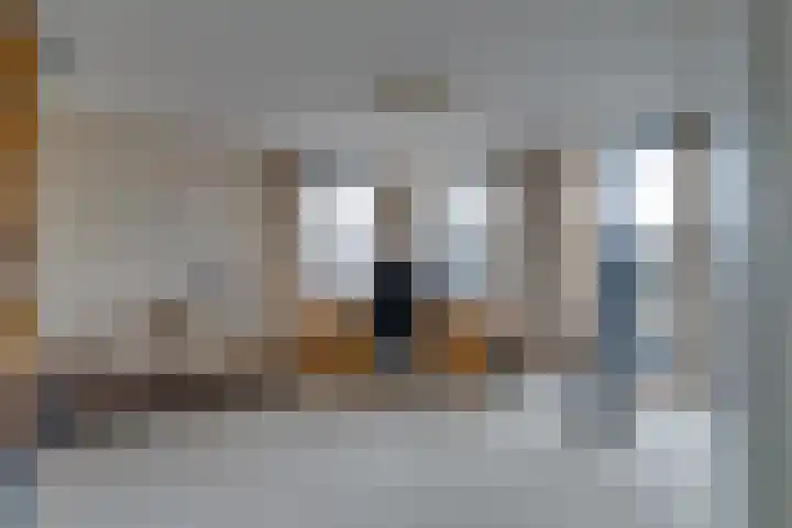 Dolderseweg 93 C Den Dolder thumbnail 31