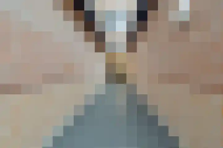 Dolderseweg 93 C Den Dolder thumbnail 37