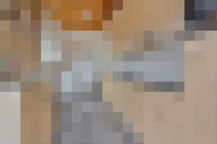 Dolderstraat 19 Heino thumbnail 13