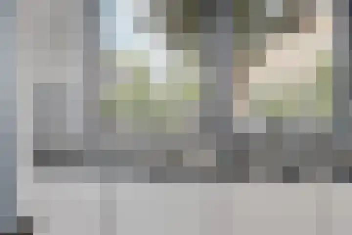 Dolderstraat 19 Heino thumbnail 26