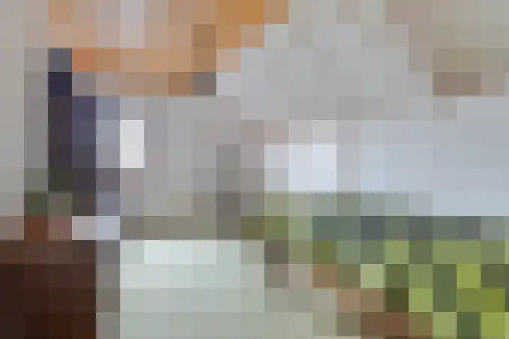 Dolderstraat 19 Heino thumbnail 28