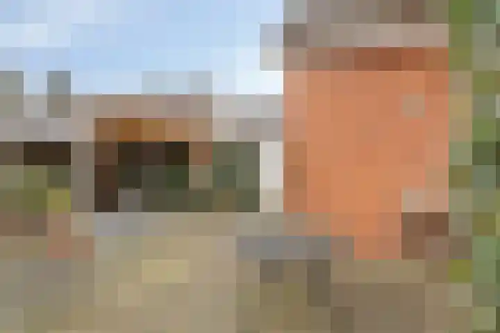 Dolderstraat 19 Heino thumbnail 30