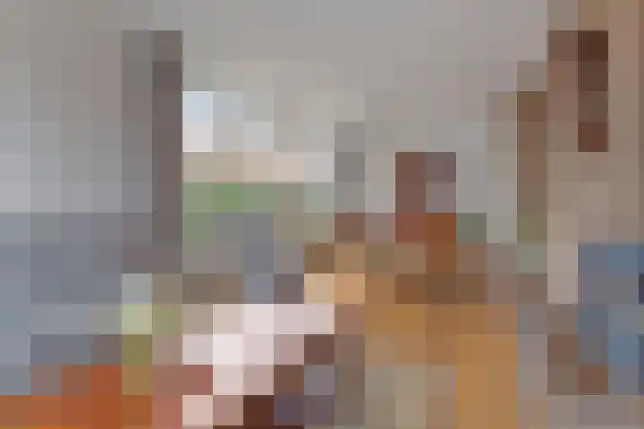 Dolderstraat 19 Heino thumbnail 7