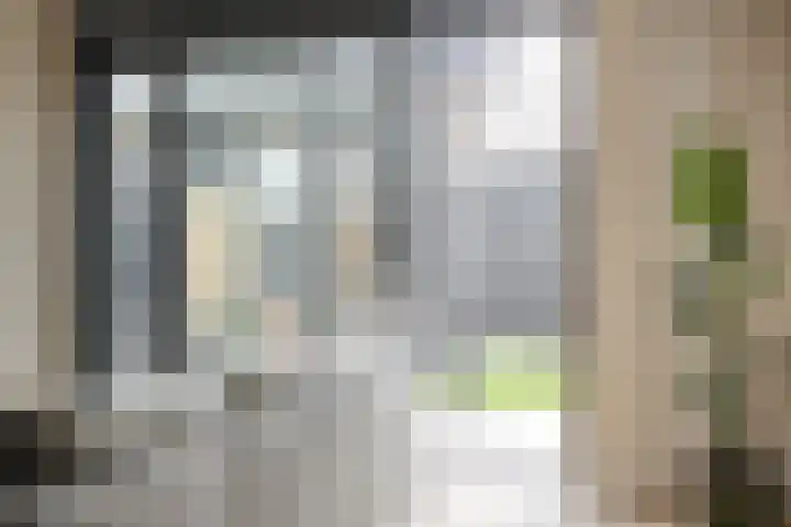 Dolf Tulpstraat 8 Deventer thumbnail 9