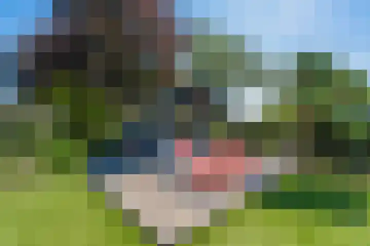 Dolfijnpark 8 Ridderkerk thumbnail 20