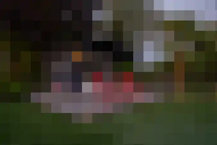 Dolfijnpark 8 Ridderkerk thumbnail 21