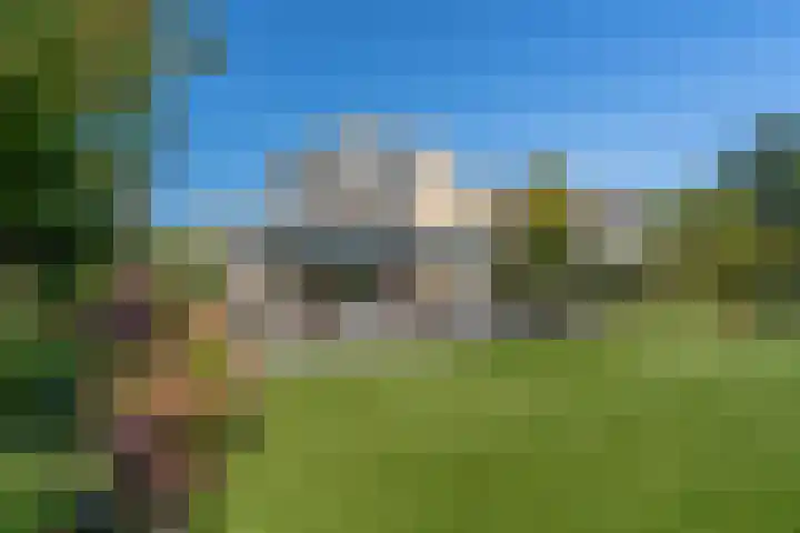 Dolfijnpark 8 Ridderkerk thumbnail 22