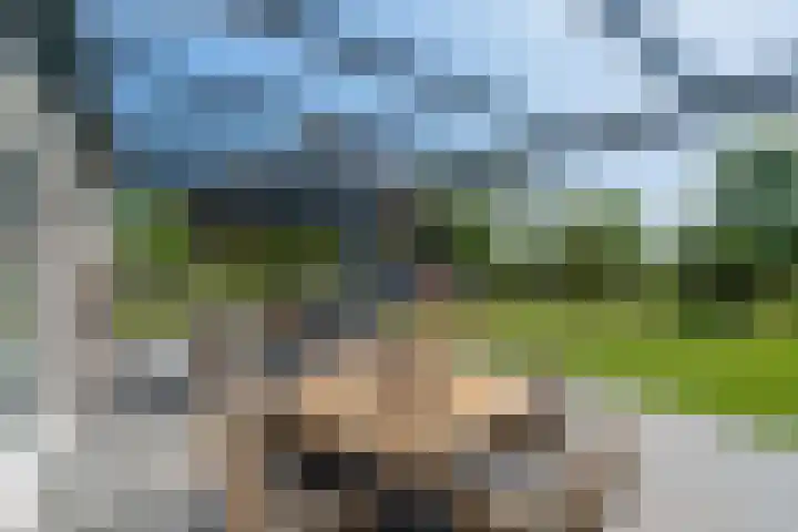 Dolfijnpark 8 Ridderkerk thumbnail 24
