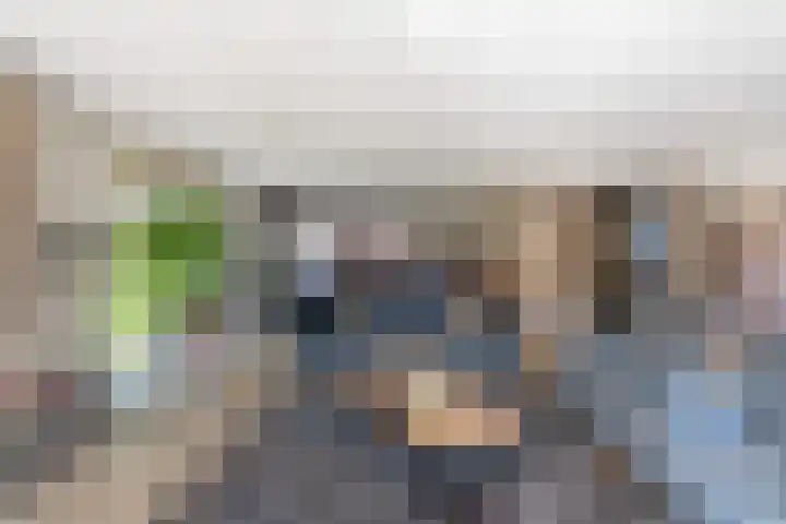 Dolfijnpark 8 Ridderkerk thumbnail 8