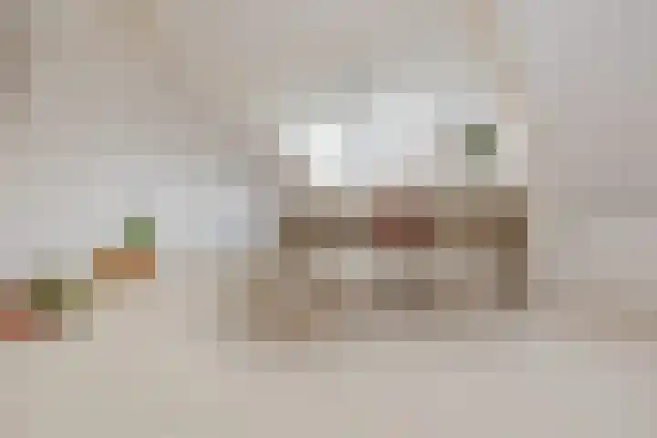 Dolfijnstraat 228 IJmuiden thumbnail 39