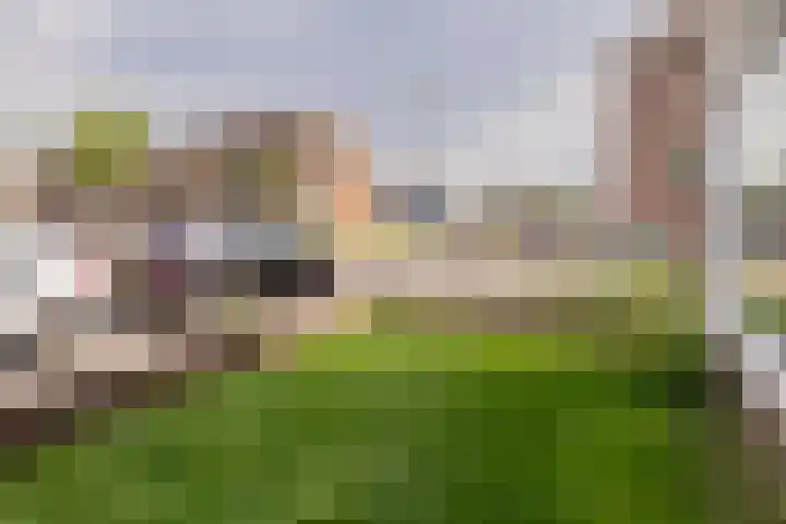 Dolfijnstraat 228 IJmuiden thumbnail 40