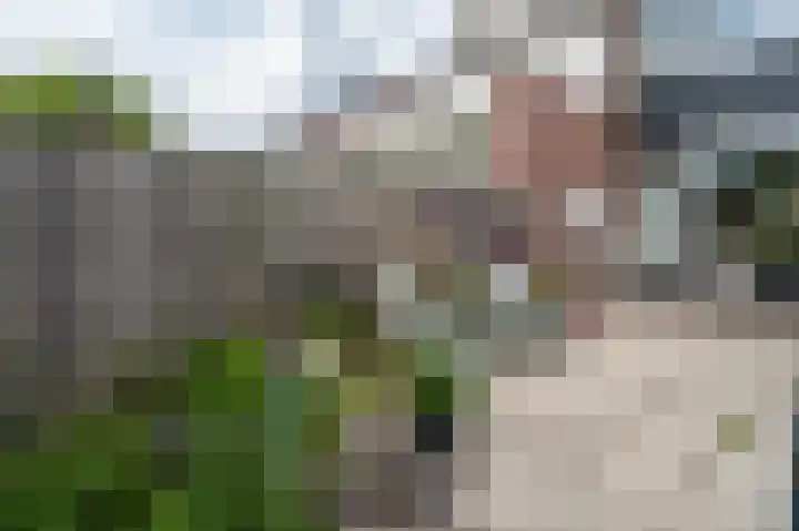 Dollard 55 Veendam thumbnail 33