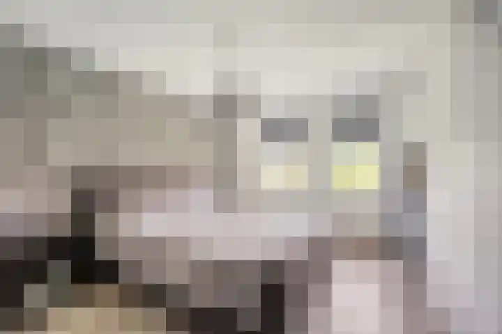 Dollardlaan 80 Scheemda thumbnail 13