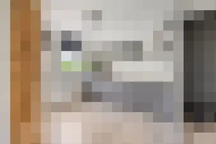 Dollardlaan 80 Scheemda thumbnail 6