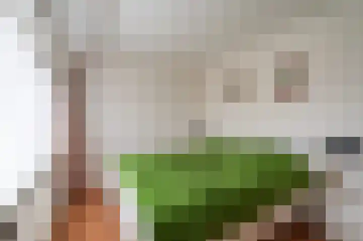 Dollardlaan 94 Scheemda thumbnail 17