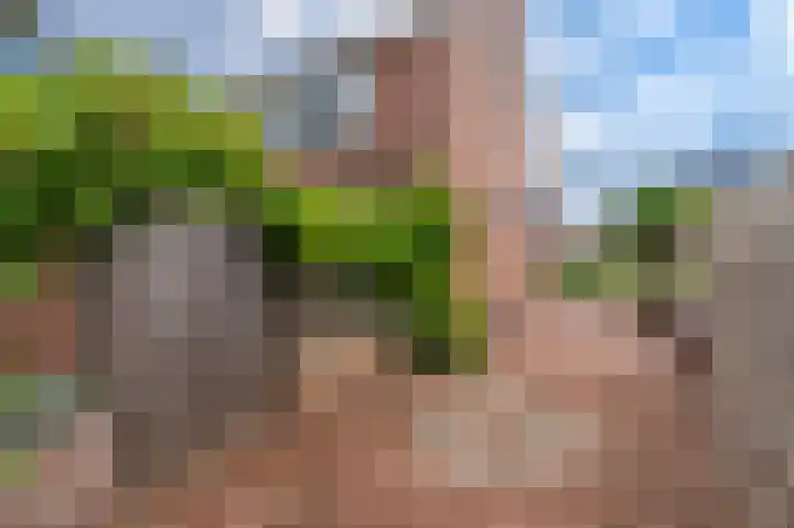 Dollardlaan 94 Scheemda thumbnail 36