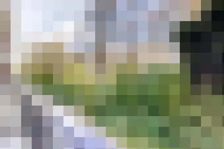 Dollardpad 1 Amsterdam thumbnail 10