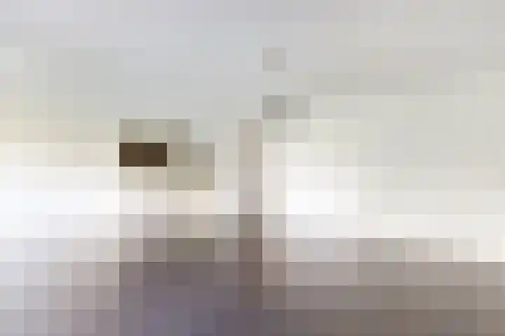 Dollardpad 1 Amsterdam thumbnail 16