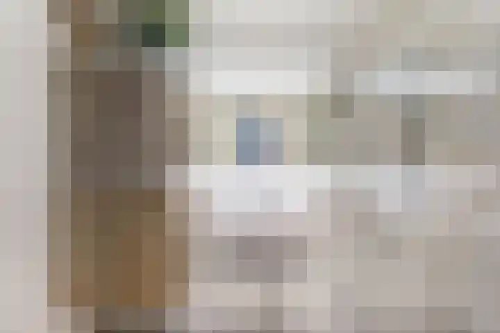 Dollardpad 1 Amsterdam thumbnail 21