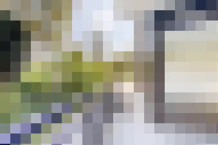 Dollardpad 1 Amsterdam thumbnail 9
