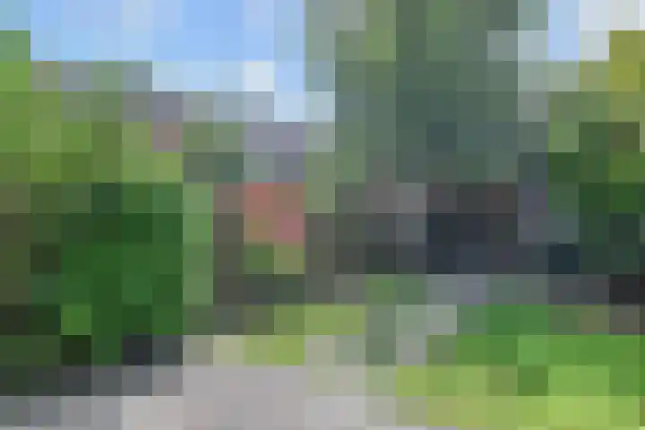 Dolomiet 19 Zoetermeer thumbnail 11