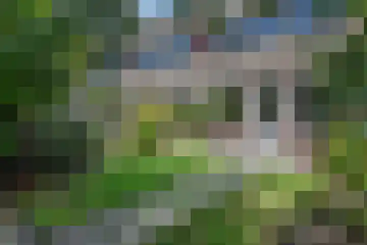 Dolomiet 19 Zoetermeer thumbnail 13