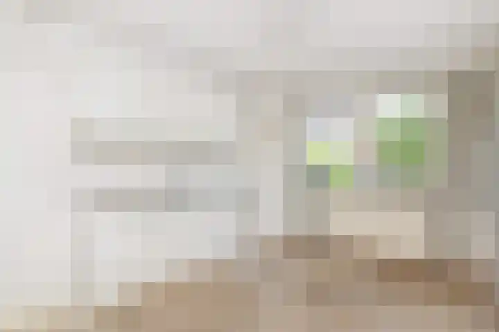 Dolomiet 19 Zoetermeer thumbnail 16