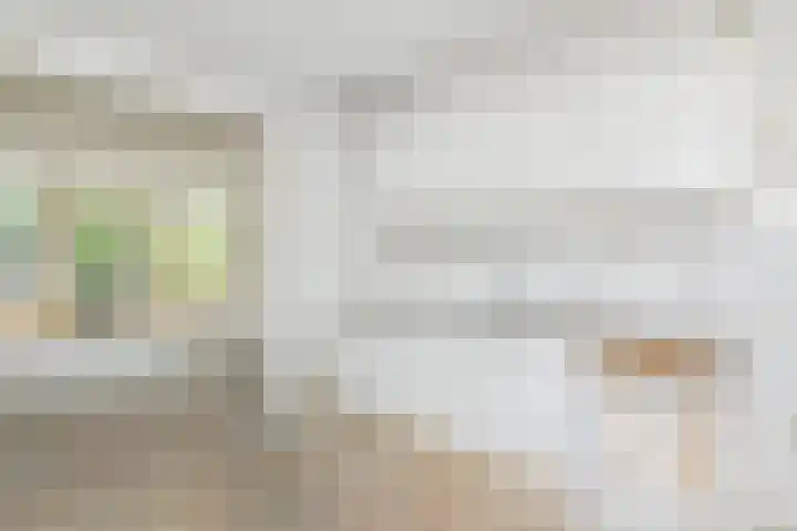 Dolomiet 19 Zoetermeer thumbnail 17