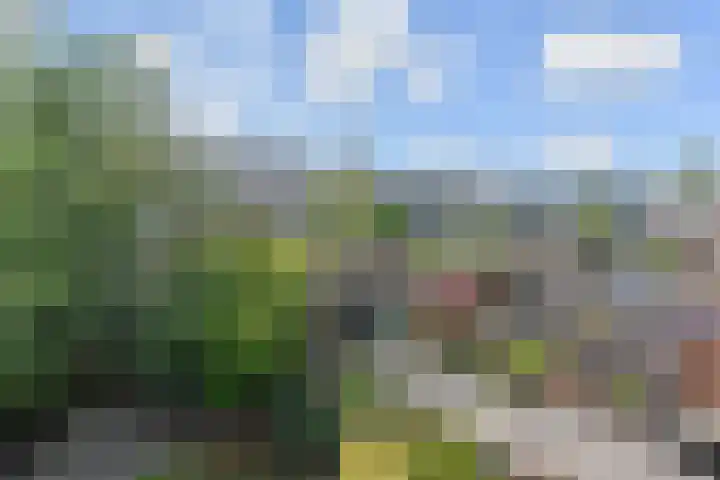 Dolomiet 19 Zoetermeer thumbnail 30