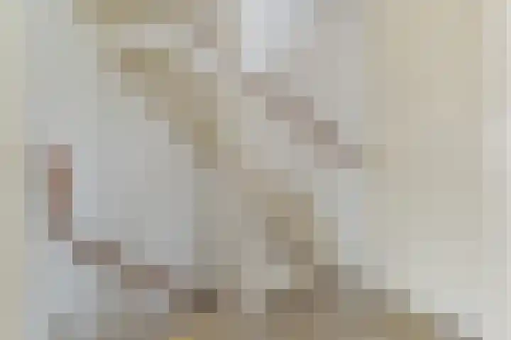 Dolomiet 19 Zoetermeer thumbnail 32