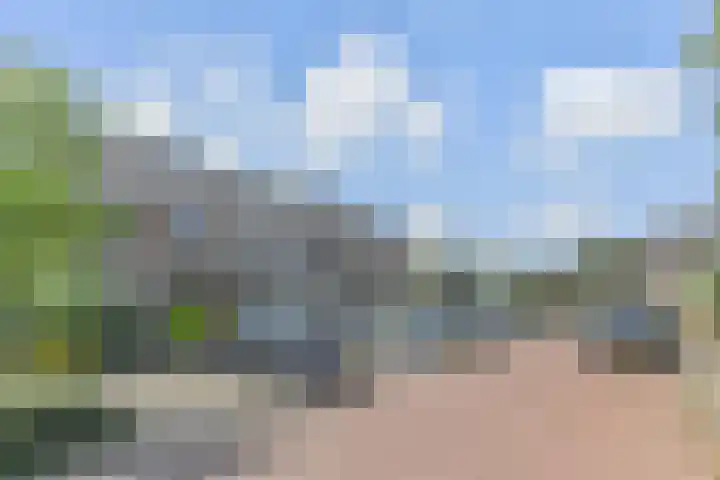 Dolomiet 19 Zoetermeer thumbnail 37