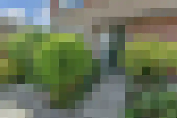 Dolomiet 19 Zoetermeer thumbnail 5